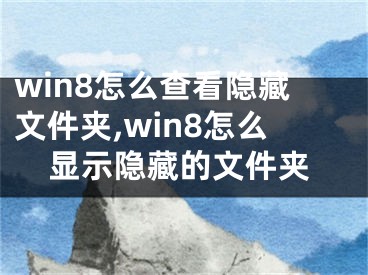 win8怎么查看隱藏文件夾,win8怎么顯示隱藏的文件夾