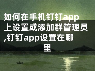 如何在手機(jī)釘釘app上設(shè)置或添加群管理員,釘釘app設(shè)置在哪里