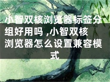 小智雙核瀏覽器標(biāo)簽分組好用嗎 ,小智雙核瀏覽器怎么設(shè)置兼容模式