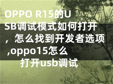 OPPO R15的USB調(diào)試模式如何打開，怎么找到開發(fā)者選項 ,oppo15怎么打開usb調(diào)試