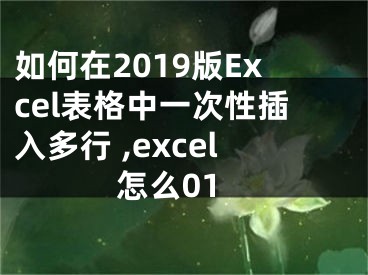 如何在2019版Excel表格中一次性插入多行 ,excel怎么01