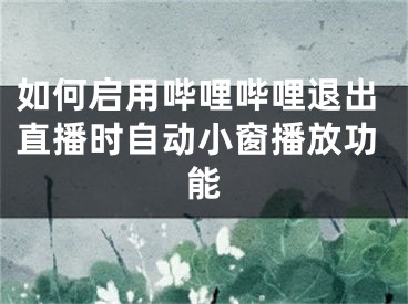 如何啟用嗶哩嗶哩退出直播時(shí)自動(dòng)小窗播放功能