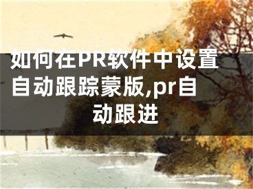 如何在PR軟件中設(shè)置自動(dòng)跟蹤蒙版,pr自動(dòng)跟進(jìn)