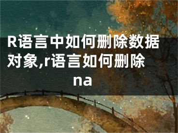 R語(yǔ)言中如何刪除數(shù)據(jù)對(duì)象,r語(yǔ)言如何刪除na