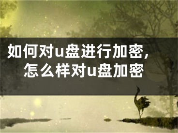 如何對u盤進(jìn)行加密,怎么樣對u盤加密