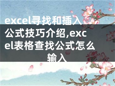 excel尋找和插入公式技巧介紹,excel表格查找公式怎么輸入