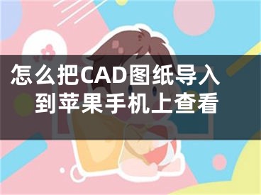 怎么把CAD圖紙導(dǎo)入到蘋(píng)果手機(jī)上查看