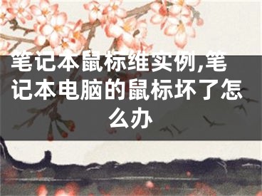 筆記本鼠標(biāo)維實(shí)例,筆記本電腦的鼠標(biāo)壞了怎么辦