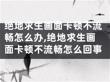 絕地求生畫面卡頓不流暢怎么辦,絕地求生畫面卡頓不流暢怎么回事