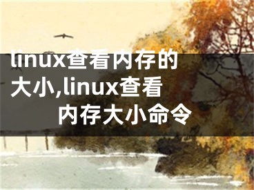 linux查看內(nèi)存的大小,linux查看內(nèi)存大小命令