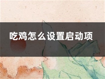 吃雞怎么設(shè)置啟動(dòng)項(xiàng)