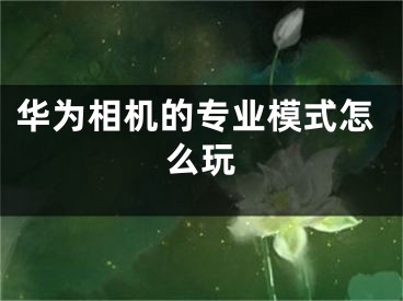 華為相機的專業(yè)模式怎么玩