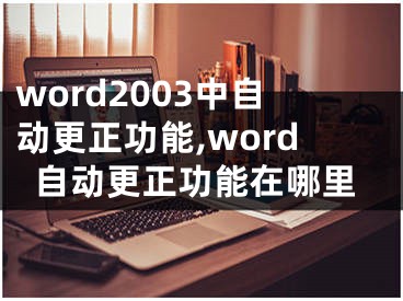 word2003中自動更正功能,word自動更正功能在哪里