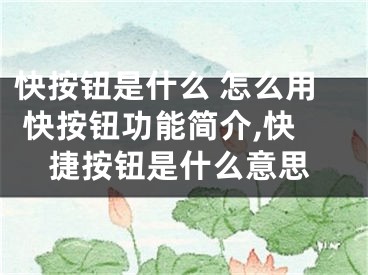 快按鈕是什么 怎么用 快按鈕功能簡介,快捷按鈕是什么意思