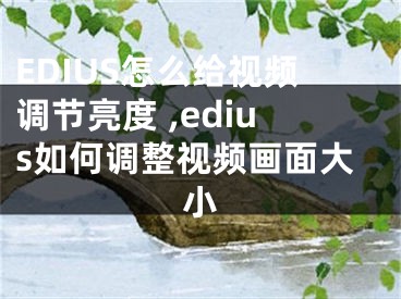 EDIUS怎么給視頻調(diào)節(jié)亮度 ,edius如何調(diào)整視頻畫面大小