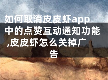 如何取消皮皮蝦app中的點贊互動通知功能 ,皮皮蝦怎么關(guān)掉廣告