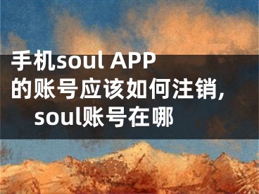 手機(jī)soul APP的賬號(hào)應(yīng)該如何注銷,soul賬號(hào)在哪