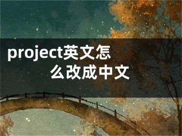 project英文怎么改成中文