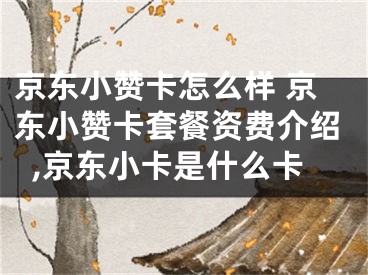 京東小贊卡怎么樣 京東小贊卡套餐資費(fèi)介紹,京東小卡是什么卡