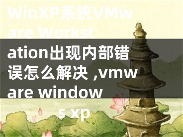 WinXP系統(tǒng)VMware Workstation出現(xiàn)內(nèi)部錯誤怎么解決 ,vmware windows xp