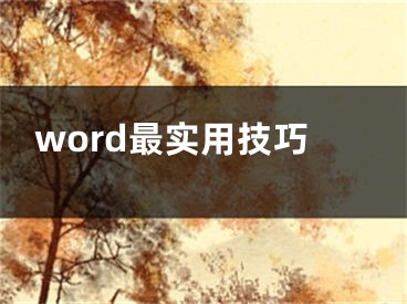 word最實(shí)用技巧