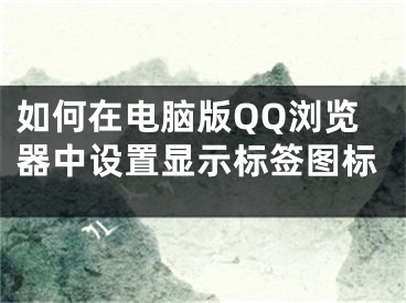 如何在電腦版QQ瀏覽器中設(shè)置顯示標(biāo)簽圖標(biāo)