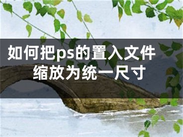 如何把ps的置入文件縮放為統(tǒng)一尺寸