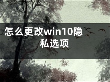 怎么更改win10隱私選項(xiàng)