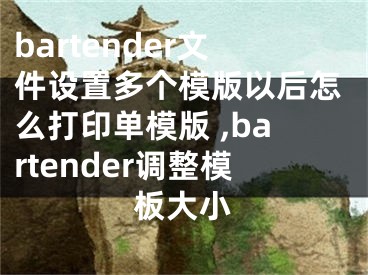 bartender文件設(shè)置多個(gè)模版以后怎么打印單模版 ,bartender調(diào)整模板大小