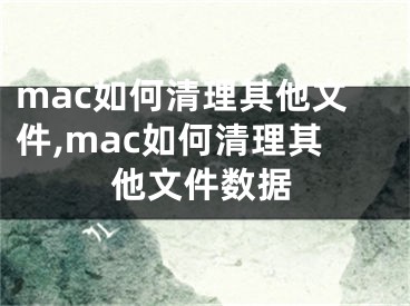 mac如何清理其他文件,mac如何清理其他文件數(shù)據(jù)