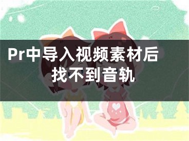 Pr中導(dǎo)入視頻素材后找不到音軌