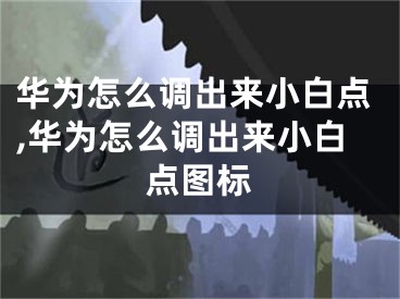 華為怎么調(diào)出來小白點,華為怎么調(diào)出來小白點圖標(biāo)