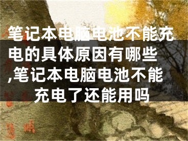 筆記本電腦電池不能充電的具體原因有哪些 ,筆記本電腦電池不能充電了還能用嗎