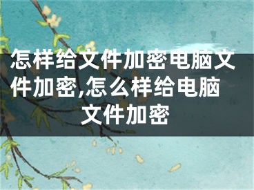 怎樣給文件加密電腦文件加密,怎么樣給電腦文件加密