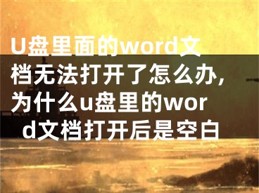 U盤里面的word文檔無法打開了怎么辦,為什么u盤里的word文檔打開后是空白