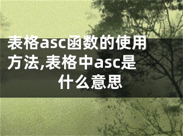 表格asc函數(shù)的使用方法,表格中asc是什么意思