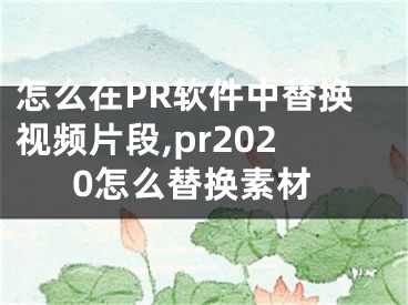 怎么在PR軟件中替換視頻片段,pr2020怎么替換素材