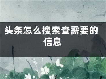 頭條怎么搜索查需要的信息