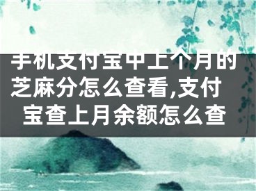 手機支付寶中上個月的芝麻分怎么查看,支付寶查上月余額怎么查