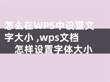 怎么在WPS中設(shè)置文字大小 ,wps文檔怎樣設(shè)置字體大小