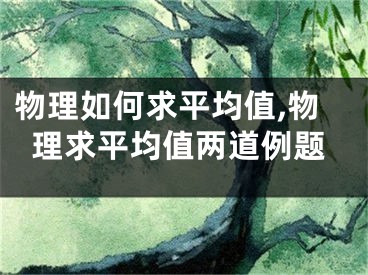 物理如何求平均值,物理求平均值兩道例題