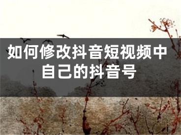 如何修改抖音短視頻中自己的抖音號(hào)