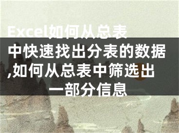 Excel如何從總表中快速找出分表的數(shù)據(jù),如何從總表中篩選出一部分信息