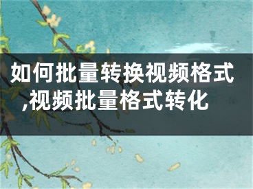 如何批量轉(zhuǎn)換視頻格式,視頻批量格式轉(zhuǎn)化