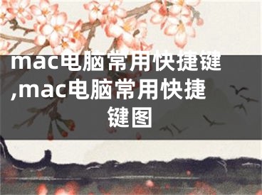 mac電腦常用快捷鍵,mac電腦常用快捷鍵圖