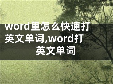 word里怎么快速打英文單詞,word打英文單詞