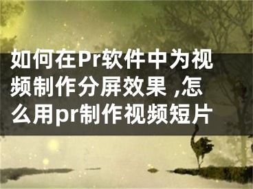 如何在Pr軟件中為視頻制作分屏效果 ,怎么用pr制作視頻短片