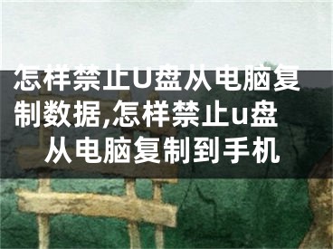 怎樣禁止U盤(pán)從電腦復(fù)制數(shù)據(jù),怎樣禁止u盤(pán)從電腦復(fù)制到手機(jī)