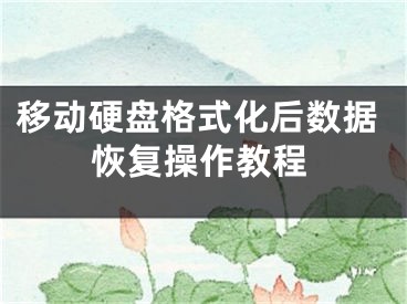 移動硬盤格式化后數(shù)據(jù)恢復操作教程