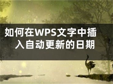 如何在WPS文字中插入自動更新的日期